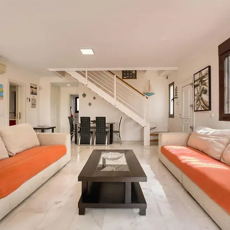 Spacious Laurisilva *